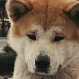 Даниял Хожоков, Махачкала