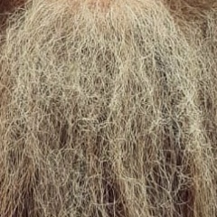 Евгений Степанов, 15.04, Санкт-Петербург