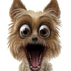 Александр Коротких, 03.02, Санкт-Петербург