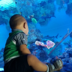 Лаура Бурхан, 05.02.1989, Алматы