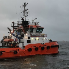 Максим Конник, Санкт-Петербург