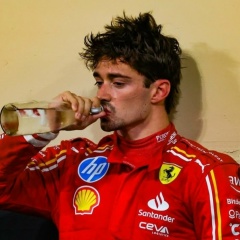 Амир Мирко, 21.08