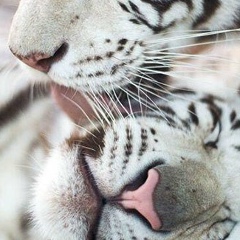 Артём Бахолдин, 13.09, Санкт-Петербург