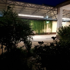 Расул Магомедов, 07.09.1993, Нечаевка