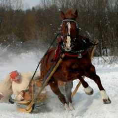 Костя Святецкий, 28.10.1985, Мариуполь