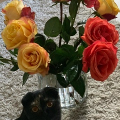 Раушан Наханова, 26.11, Санкт-Петербург