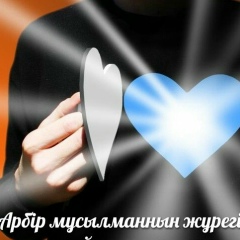 Нуржигит Туйчиев, Шымкент