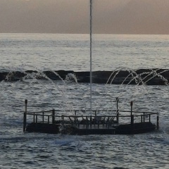 Олеся Збаральская, 22.01, Санкт-Петербург