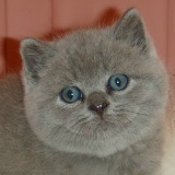 Иван Прокофьев, 01.09.1975, Тель-Авив