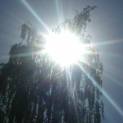 Лена Окунович, Санкт-Петербург