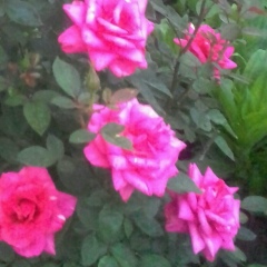 Рамзия Валиахметова, 03.06