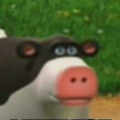 Eliza Aidarova, Бишкек