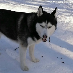 Денис Михалев, 20.01.1989, Москва