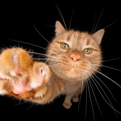 Юлия Владимировна, 16.01, Сургут