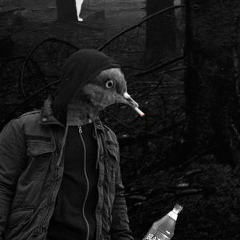 Голубь Бешеный, 09.12.1938, Омск