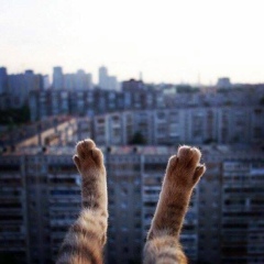 Марина Дорошенко, 19.01, Киев