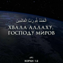 Талғат Алымжанов, Алматы