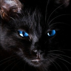 Иришка Назарова, 02.03.1988, Оленегорск