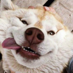 Евгений Александров, 17.12, Днепр (Днепропетровск)