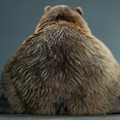 Андрей Смирнов, 08.01.1981, Санкт-Петербург