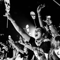 Саня Гребешков, Псков