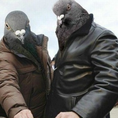 Говно Калачиком, 05.11.1986