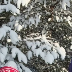 Людмила Дианова, 09.02.1981, Емецк