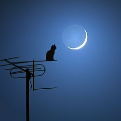 Юра Цихун, 10.01