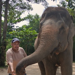 Михаил Михаэлис, 27.08.1987, Новосибирск