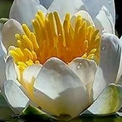 Надежда Лексина, 11.02, Санкт-Петербург