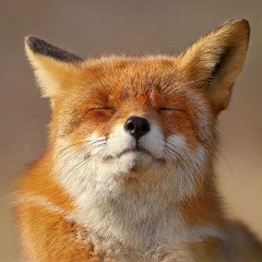 Михаил Обухов, 06.07.1982, Москва