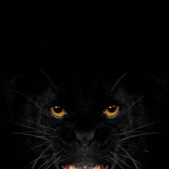 Евгений Бизюлёв, 30.10.1984, Москва