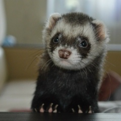 Марина Миронова, 02.11.1987