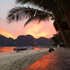 Андрей Царь