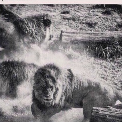 Адлет Нугуманов, 24.06, Астана