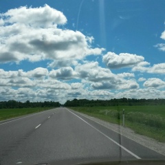 Рыбка Золотая, Кошкино