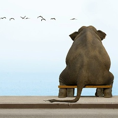 Ethan Hawley, 05.09.1972, Одесса