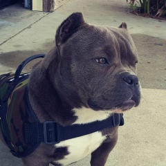 Александр Анести, 09.12.1994, Бендеры