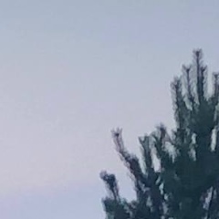 Николай Попов, 24.11.1988, Иркутск