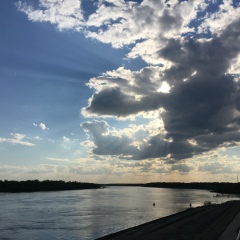 Елена Алексеева, Москва