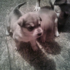 Мадияр Орманов, 14.04, Астана