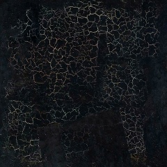 Alex Alex, Санкт-Петербург