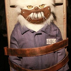 Денис Залашков, 18.03.1987, Николаев