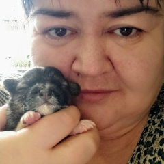 Лилия Шаяхметова, 04.06.1976, Нижнекамск