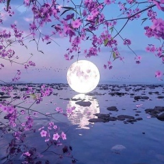 Ширин Жолдошалиева, 18.09, Бишкек