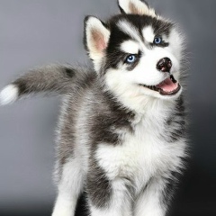 Ильдар Калиев, 11.07.1988, Набережные Челны