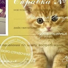 Настя Петрова, Бичура