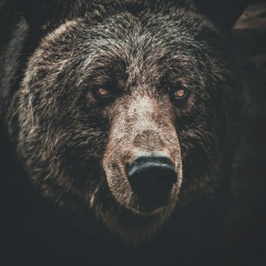 Александр Кириченко, 22.03.1990