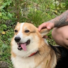 Лев Якушев, 23.06, Москва