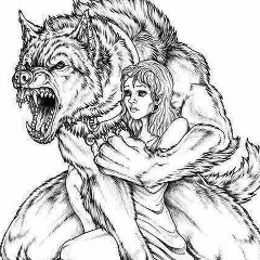 Исмаил Шуаипов, Грозный